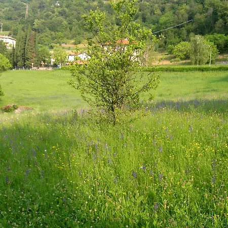 Gargnano Gargnano